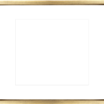 Dx100201-20×26